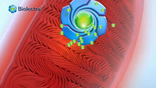 biolectra5 forte werbung scs