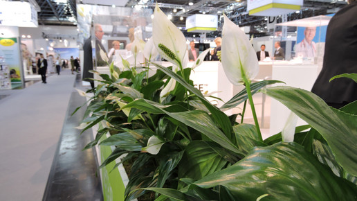 151002 impressionen expopharm 09