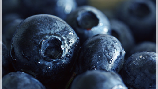 Heidelbeeren birgit H pixelio.de