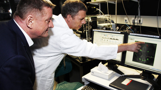 groehe embl6 bmg krampe