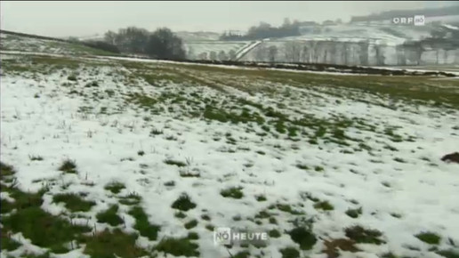 ruprechtshofen wiese screenshot orf