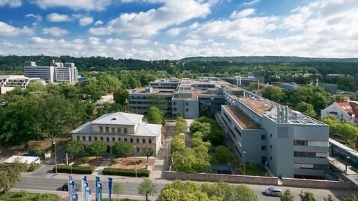 Erste Gebärmutter-Transplantation geplant