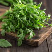 Salmonellose: Ausbruch durch Rucola?