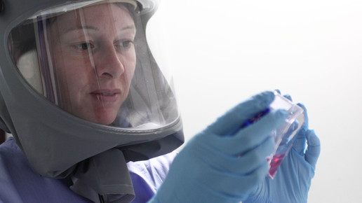 mers zellkultur VMCorman