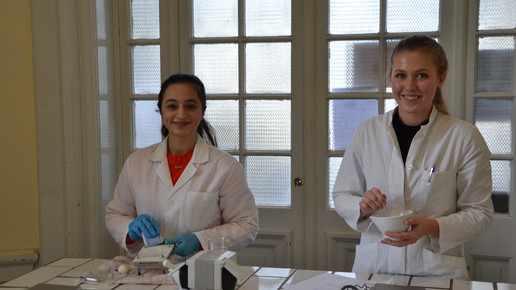 Blindow-Schulen: Neuer Standort in München