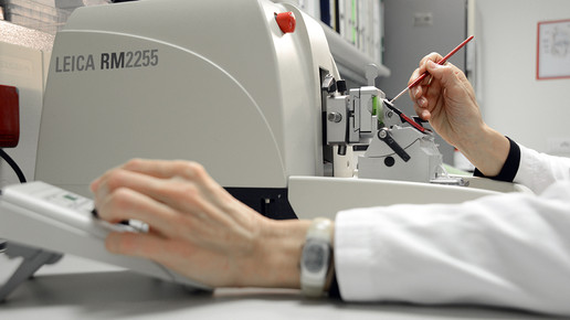 R-M-labor-5-rottapharmmadaus