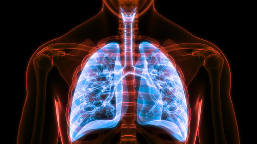 blau leuchtende Lunge mit rotem Skelett