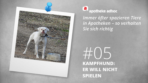 zehn tipps tiere5