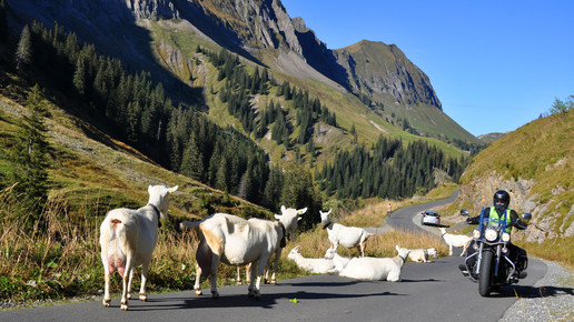 motorrad berggeist007 pixeliode