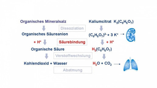 0002-PR-Texte6204 a0c54e