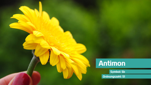 51 antimon sb radka schoene pixelio de