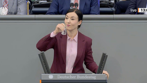 Piechotta: Spahn müsste im Flugzeug sitzen