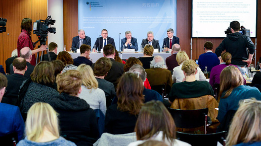 cannabis-pk bfarm domma