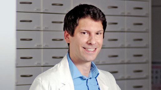 apomundo wittich apomundo