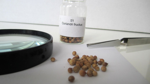 Coriandri fructus 2 aa