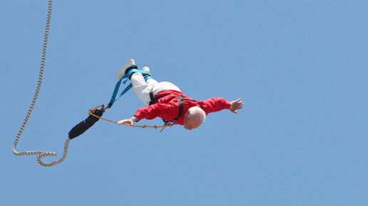 Wirz Bungeespringer13 Wirz