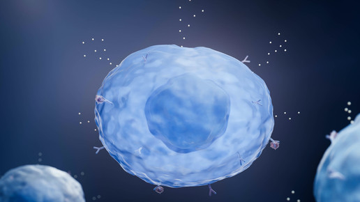 Histamin: Der Botenstoff der Allergie