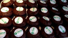 Vivesco wird Alphega Vivesco wird Alphega