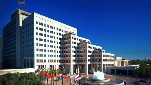 Lilly legt die Latte höher