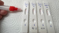 Sind 15 Euro pro Test angemessen?