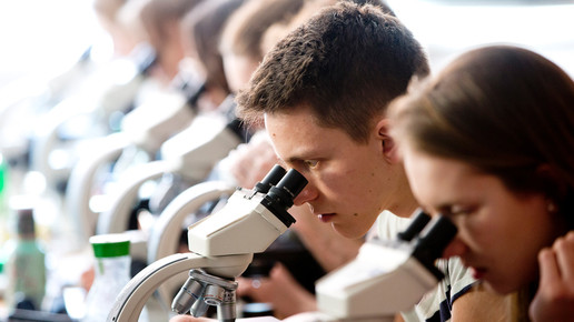 Abda: Pharmaziestudium flexibilisieren