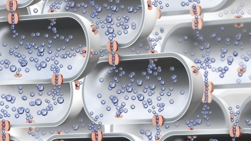 0009-1265368421 6562