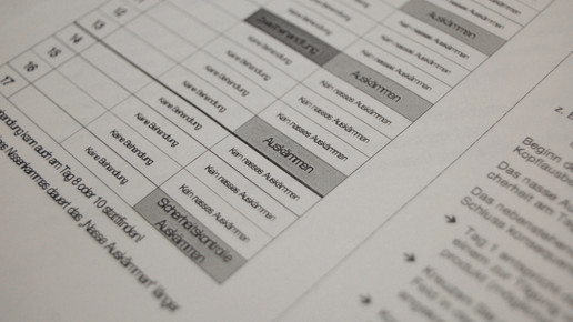behandlungsschema laeuse auskaemmen aa