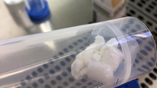 labortest1 christopher kreiss