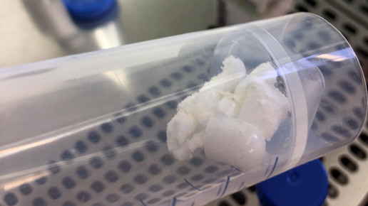 labortest1 christopher kreiss