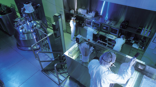 lilly fegersheim lilly