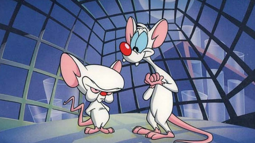 pinky brain warnerbros