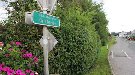 Griessstrasse 1 Robert Cescutti