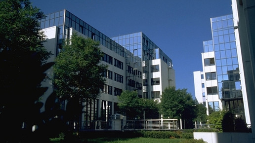 Medigene: Hoffnungsträger-Studien können beginnen