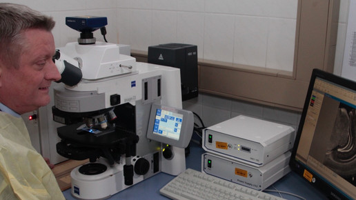 groehe sommerreise17 seltene erkrankungen1 bmg