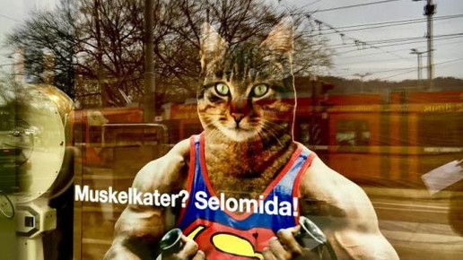 bellevue-apo fenster19 bellevue-apo