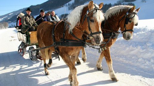 kutschfahrt schladming-dachstein