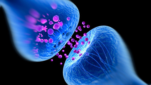 Terazosin & Co.: BPH-Wirkstoffe gegen Parkinson?