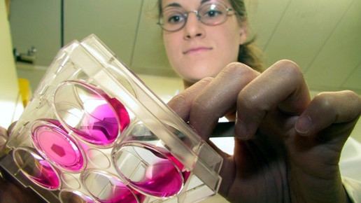 0002-1282893523 8447