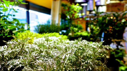 17148086659 6efa8696ed o 1