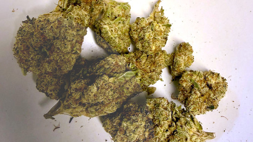 Cannabisblüten