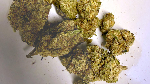 Cannabisblüten