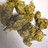 Cannabisblüten