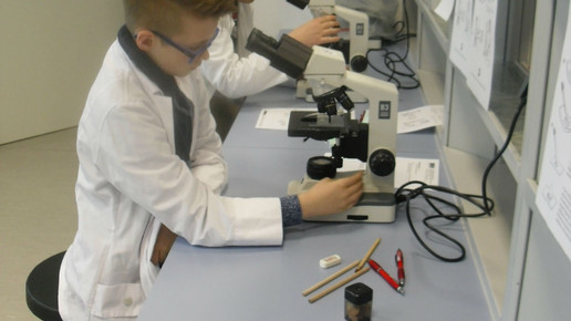 deb loerrach boysday mikrokop deb