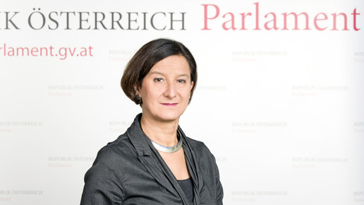 johanna mikl-leitner Parlamentsdirektion PHOTO SIMONIS