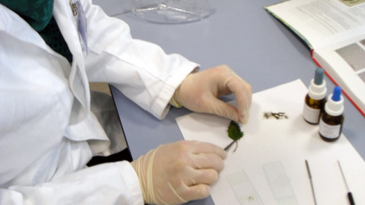 pta-schule loerrach labor6 deb