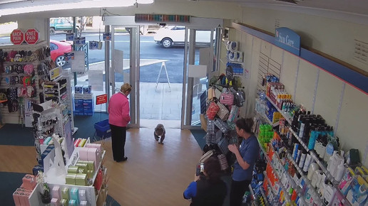 Koala in Apotheke 6 Screenshot