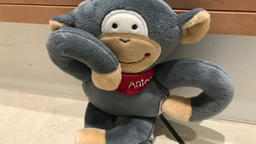 Bei Eucerin ist der Affe los