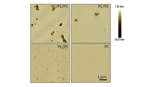 wespen studie chart2 unileeds unisaopaulo