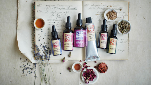 loewen-apo loewenmanu dietlind wolf