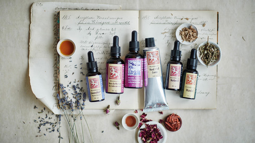 loewen-apo loewenmanu dietlind wolf